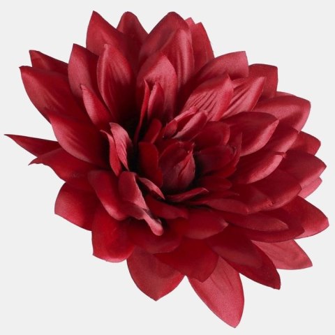 Dalia satynowa XL bordo