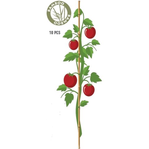 PODPORA DO ROŚLIN 60cm BAMBUS 10SZT PROGARDEN