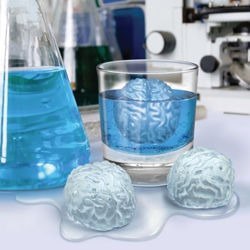 Foremka lodowa - MÓZGI