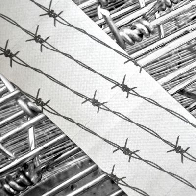 Papier toaletowy Drut Kolczasty - bez pudełka