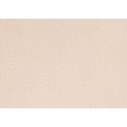 Filc 10 ark. A4 Cielisty