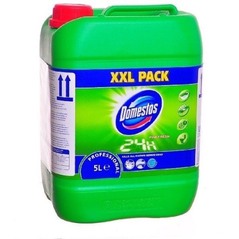 Płyn do Wc Domestos 5L Pine Fresh