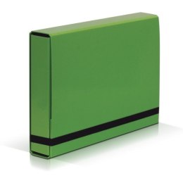 TECZKA KARTONOWA VAUPE BOX CARIBIC A4, JASNOZIELONY