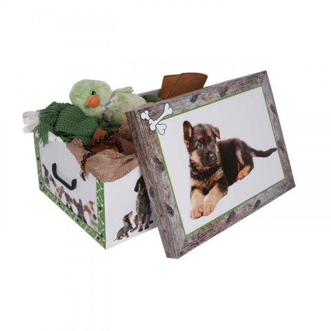 Pudełko kartonowe MAXI PIESKI OWCZAREK ZIELONA RAMKA