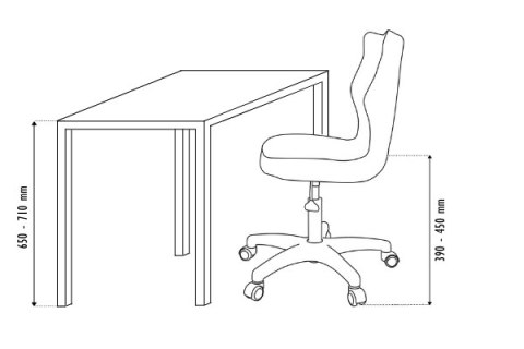 Petit Szary Visto 01 rozmiar 4