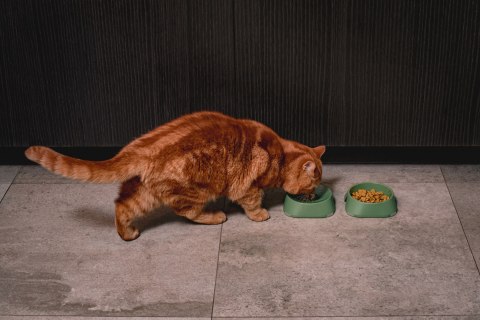 Miska M 400ml RÓŻOWA FIBOO