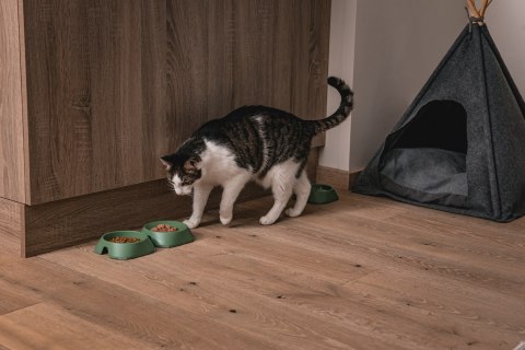 Miska M 400ml ŻÓŁTA FIBOO