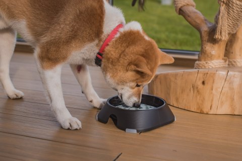 Miska L 700ml CIEMNO-SZARA FIBOO